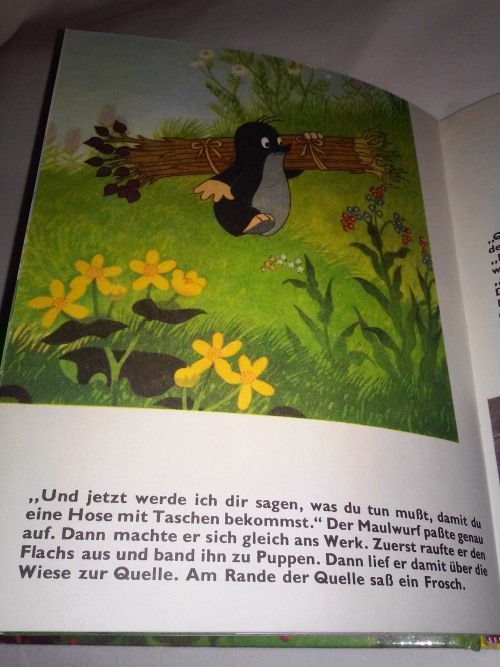 Zdenek Miler: Dausien HanauWie der Maulwurf zu Hosen kam - Klassiker,Kinderbuch alt