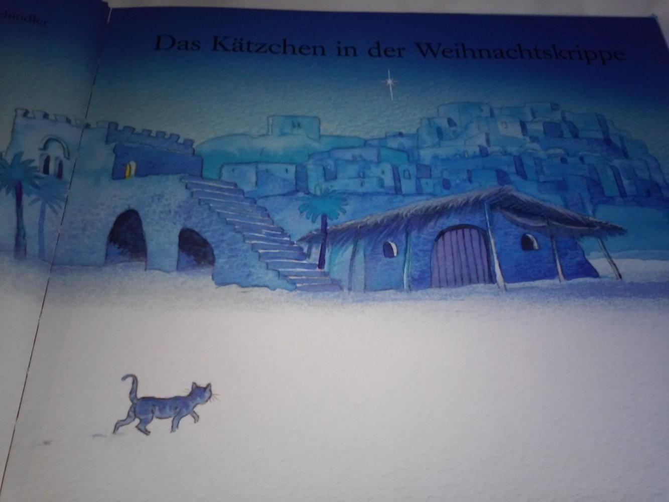 Das Kätzchen in der Weihnachts krippe + Hier sind Katzen im Spiel
