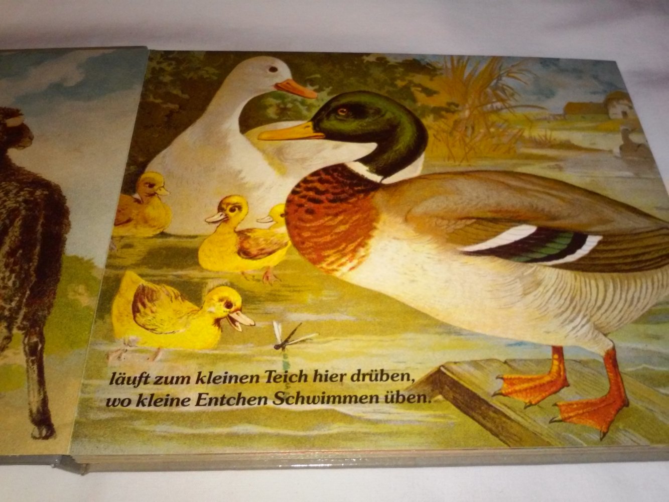 Im Hof und auf der Weide altes Kinderbucch Tierbuch 1988