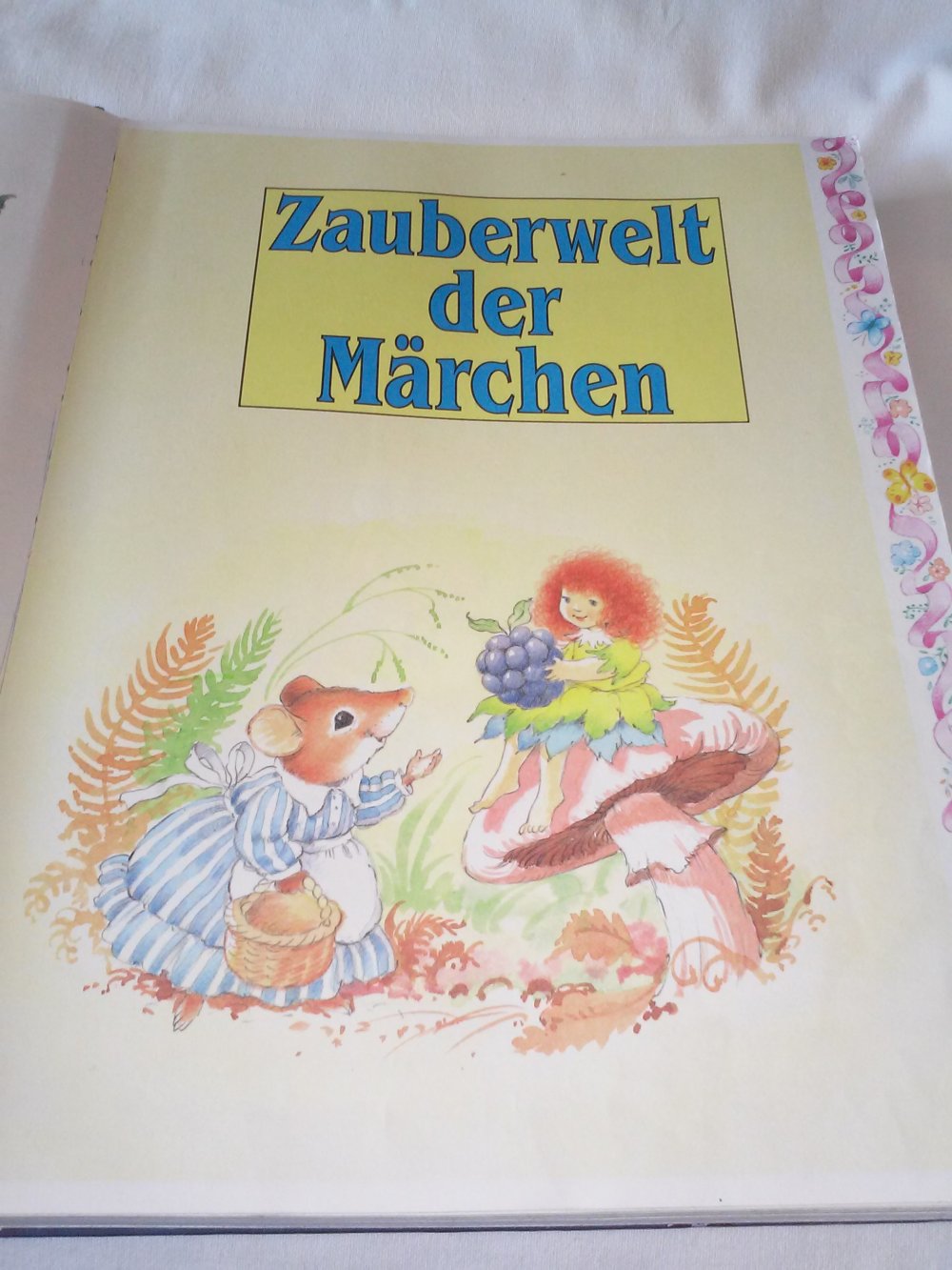 Zauberwelt der Märchen - Kinderbuch alt