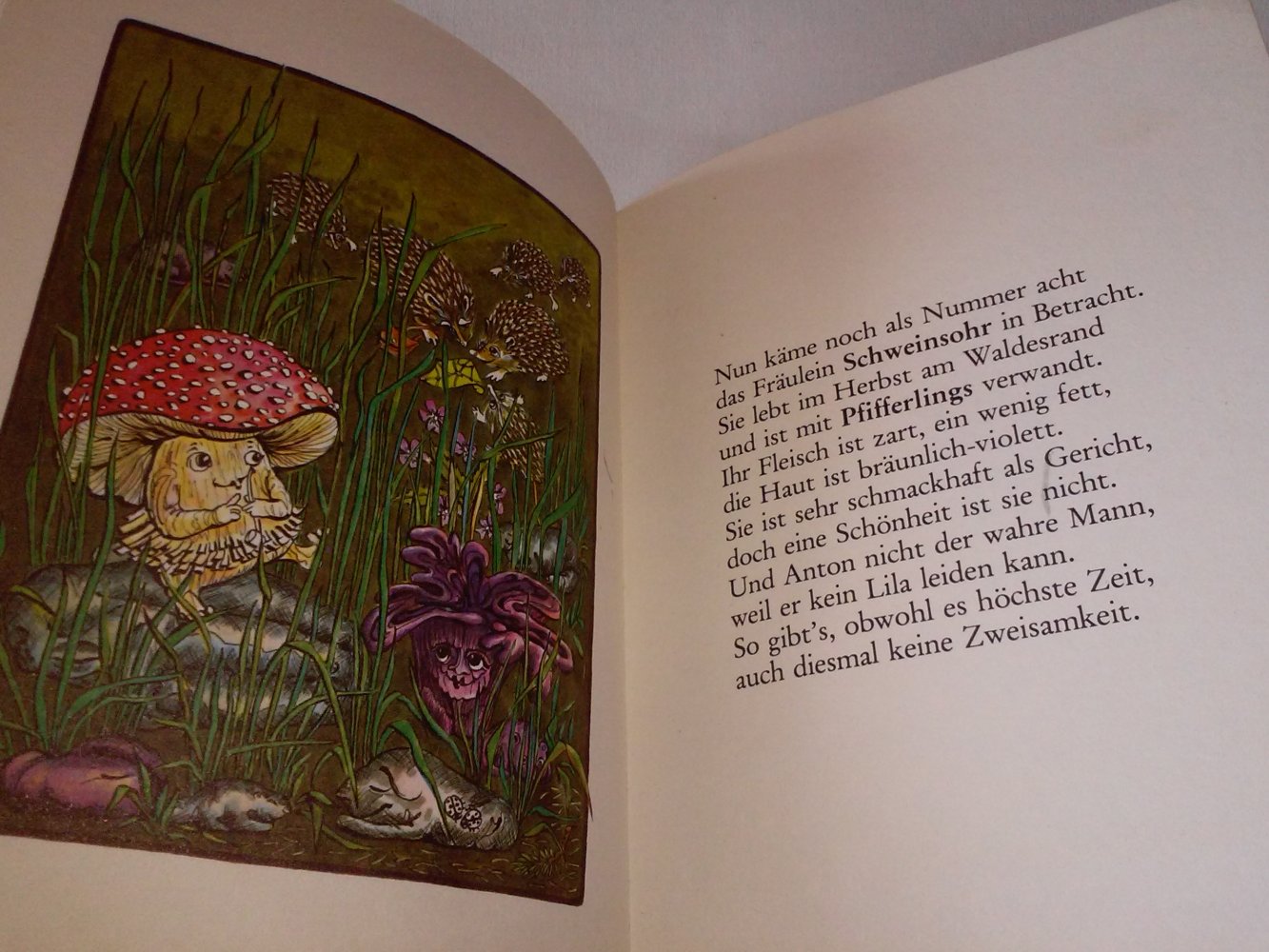  Maika Gräfin Tyszkiewicz: Anton, der Fliegenpilz Kinderbuch alt