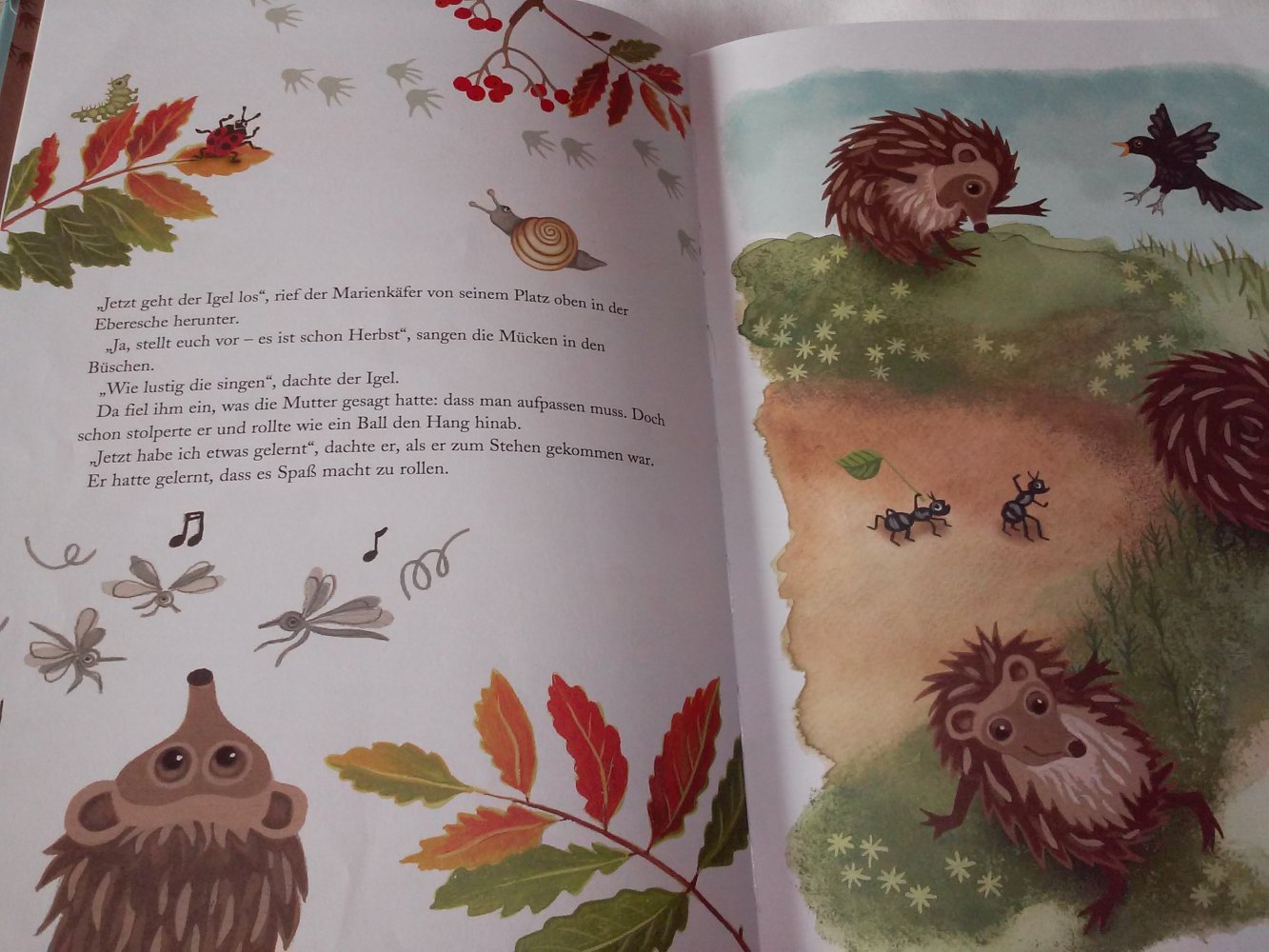 Ulf Stark. Der Igel kommt allein zurecht