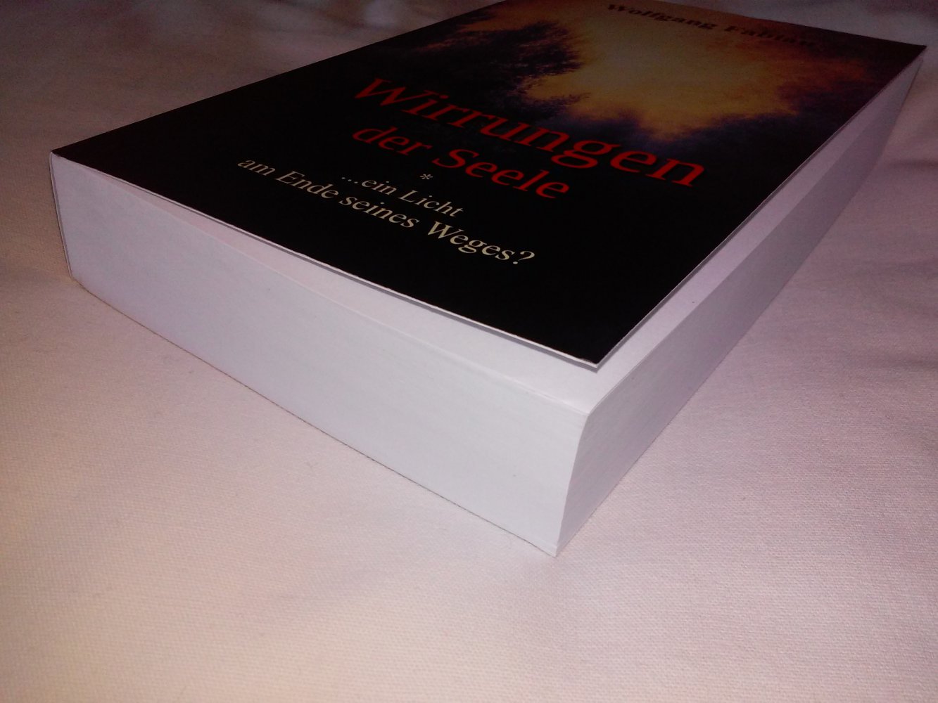 Neu!  Wirrungen der Seele  ...Licht am Ende des Weges -Geschenktipp-