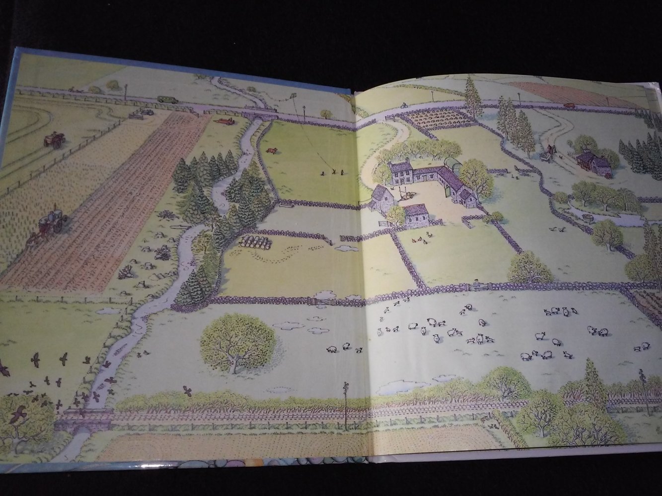 Benedict Blathwayt: Sei schön still, Rosa (Kuh) - Kindderbuch alt