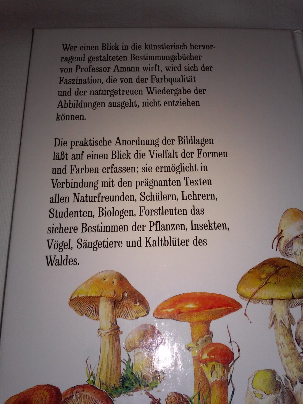 Gottfried Amann: Pilze des Waldes (Flechten, Moose,Farne, Gräser,Kräuter).