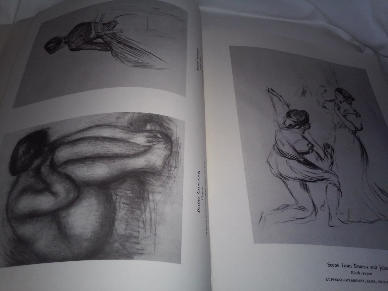 The Drawings of Renoir - 