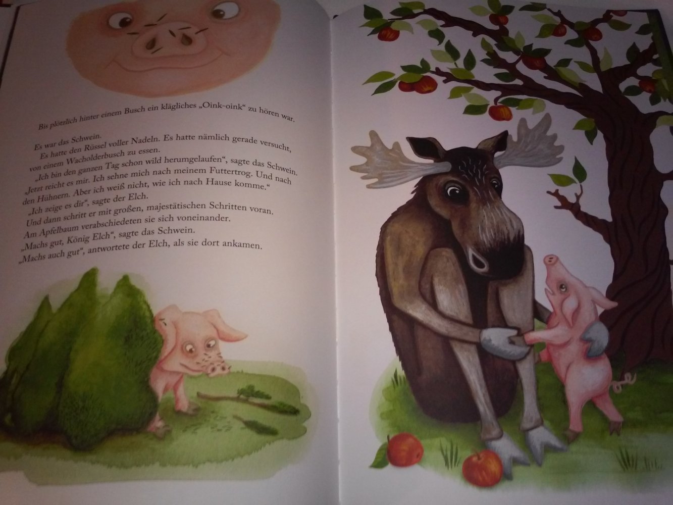 Ulf Stark: König Elch  -Tiergeschichten- / Die Prinzessin und die Freude