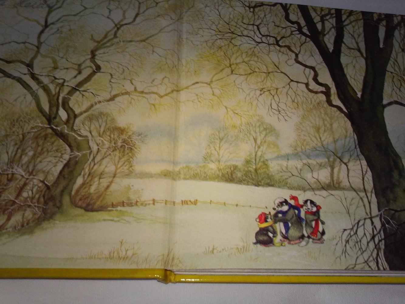 Lucy Kincaid: Lustige Waldabenteuer im Eschengrund : Band 3 u 2