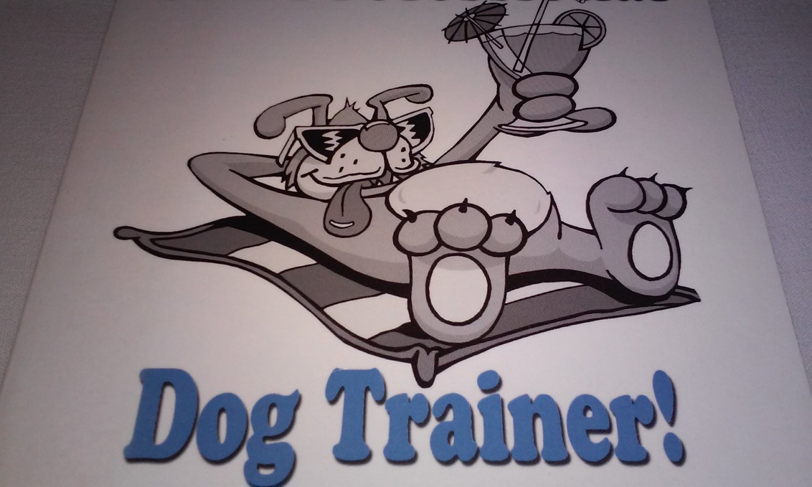 Secrets of a Professional Dog Trainer: An Insider's Guide to the Most Jealously Guarded Dog . . .(englisch) Homor Rarität/Sammlerstück