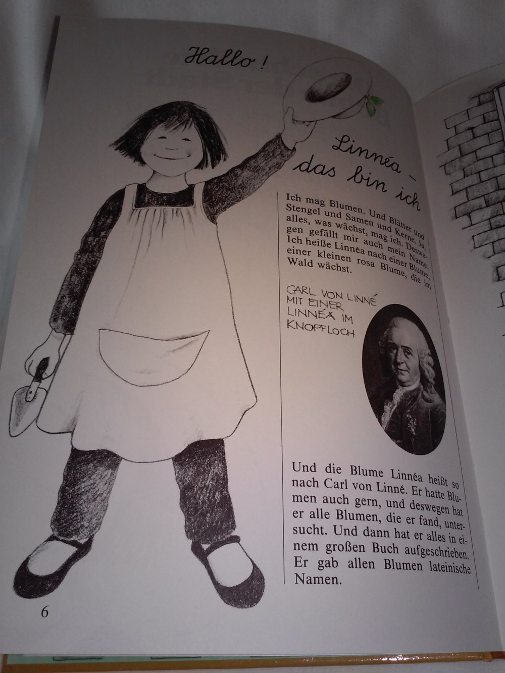 Christina BjörkChristina Björk: die schnellste Bohne der Stadt - Kinderbuch alt