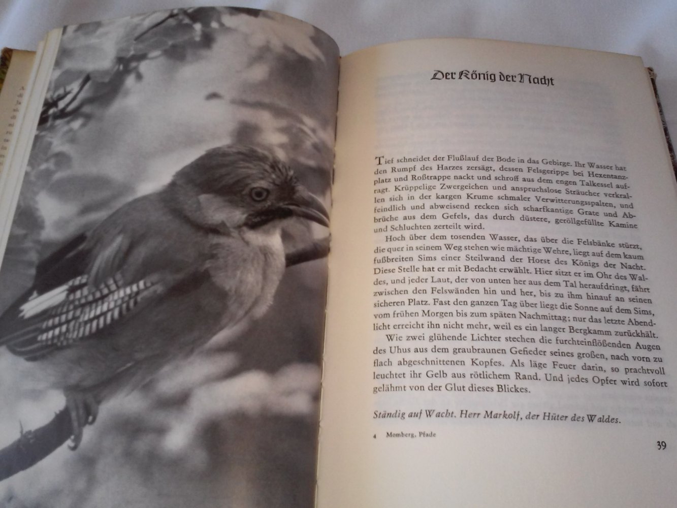  Hans-Jürgen Momberg: Auf grünen Pfaden, Aufzeichnungen eines Jägers