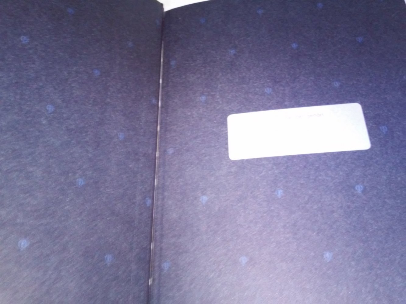 Neu! Nicole Boyle Redtnes, Bjarke Schjodt Larsen: Der magische Heißluftballon 24 Geschichten