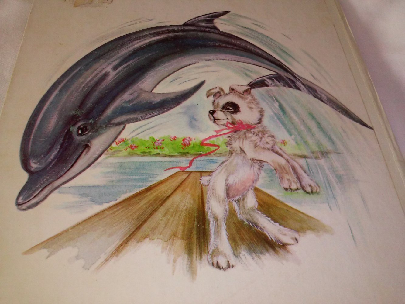 Coras Erlebnis im Tierpark  altes Kinderbuch