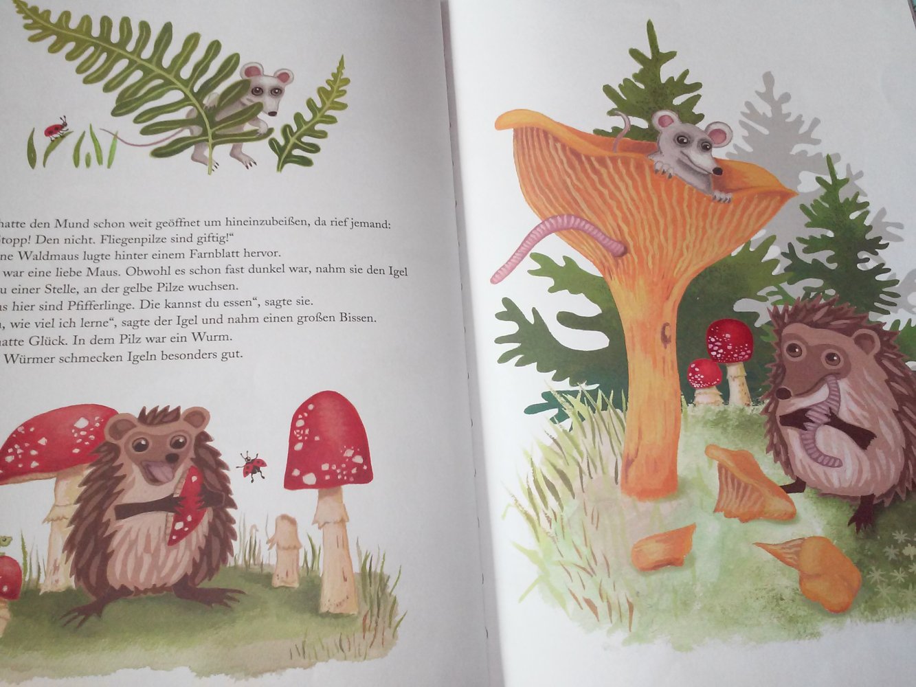 Ulf Stark. Der Igel kommt allein zurecht