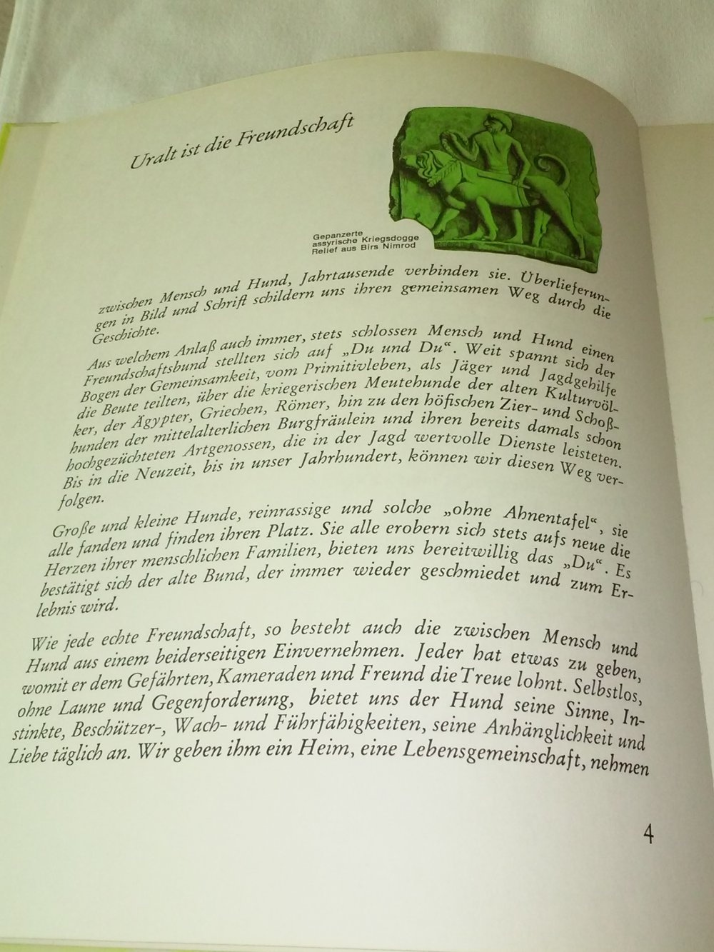 Auf Du und Du. Das Buch für Hundefreunde