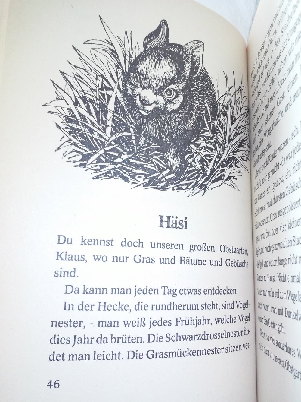 Alma de L'Aigle´s - Häsi - altes Kinderbuch 1957 