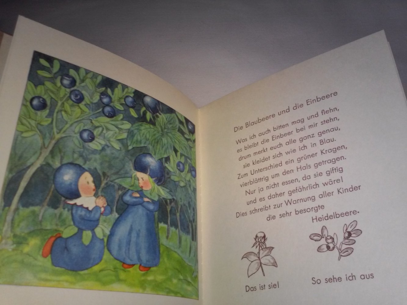 Ida Bohatta -Die braven und die schlimmen Beeren