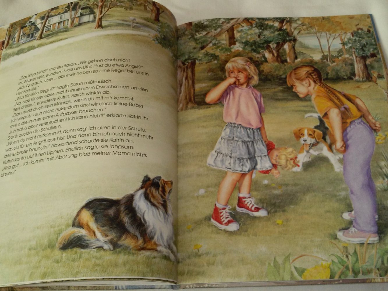  Josh und Dottie McDowell: Katrins Abenteuer am Blaubeersee -Kinderbuch alt