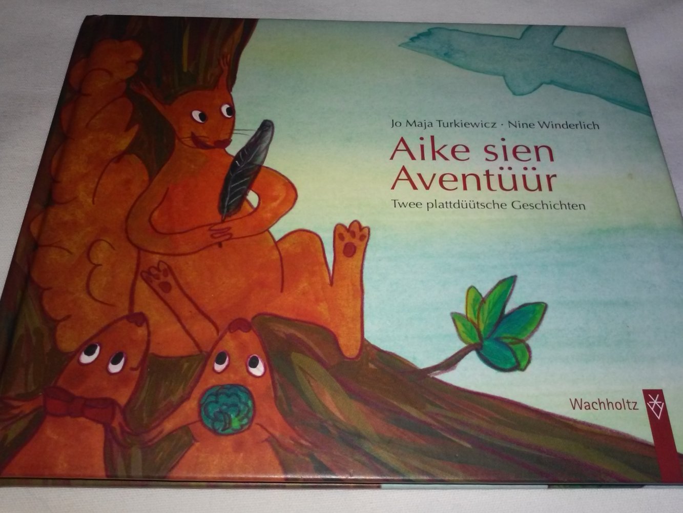 Jo M Turkiewicz: Aike de Katteker /Aike sien Aventüür