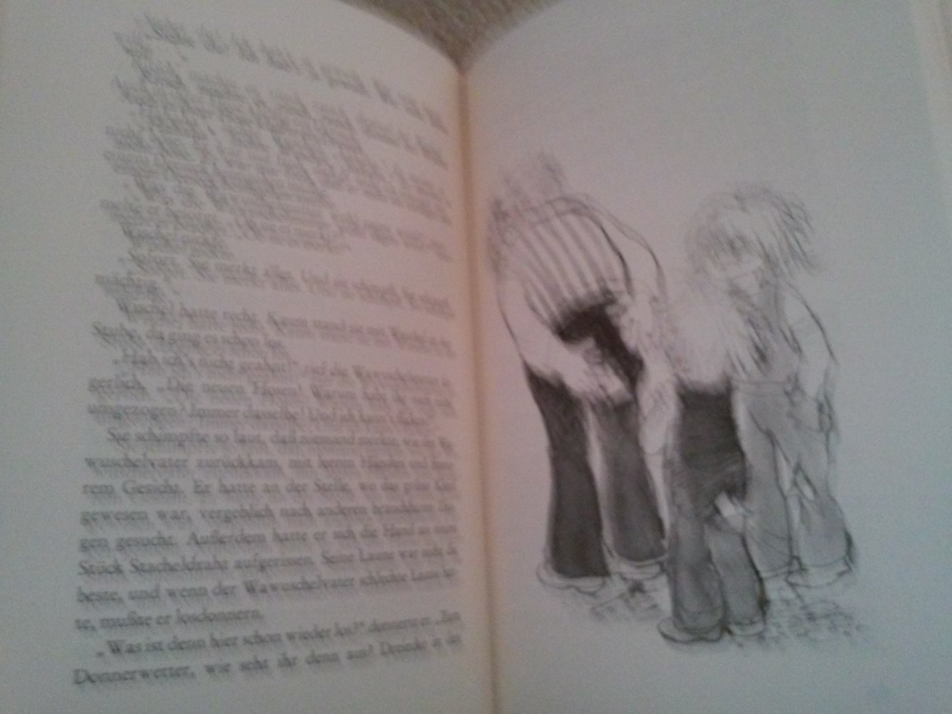 Irina Korschunow: Die Wawuschels feiern ein Fest