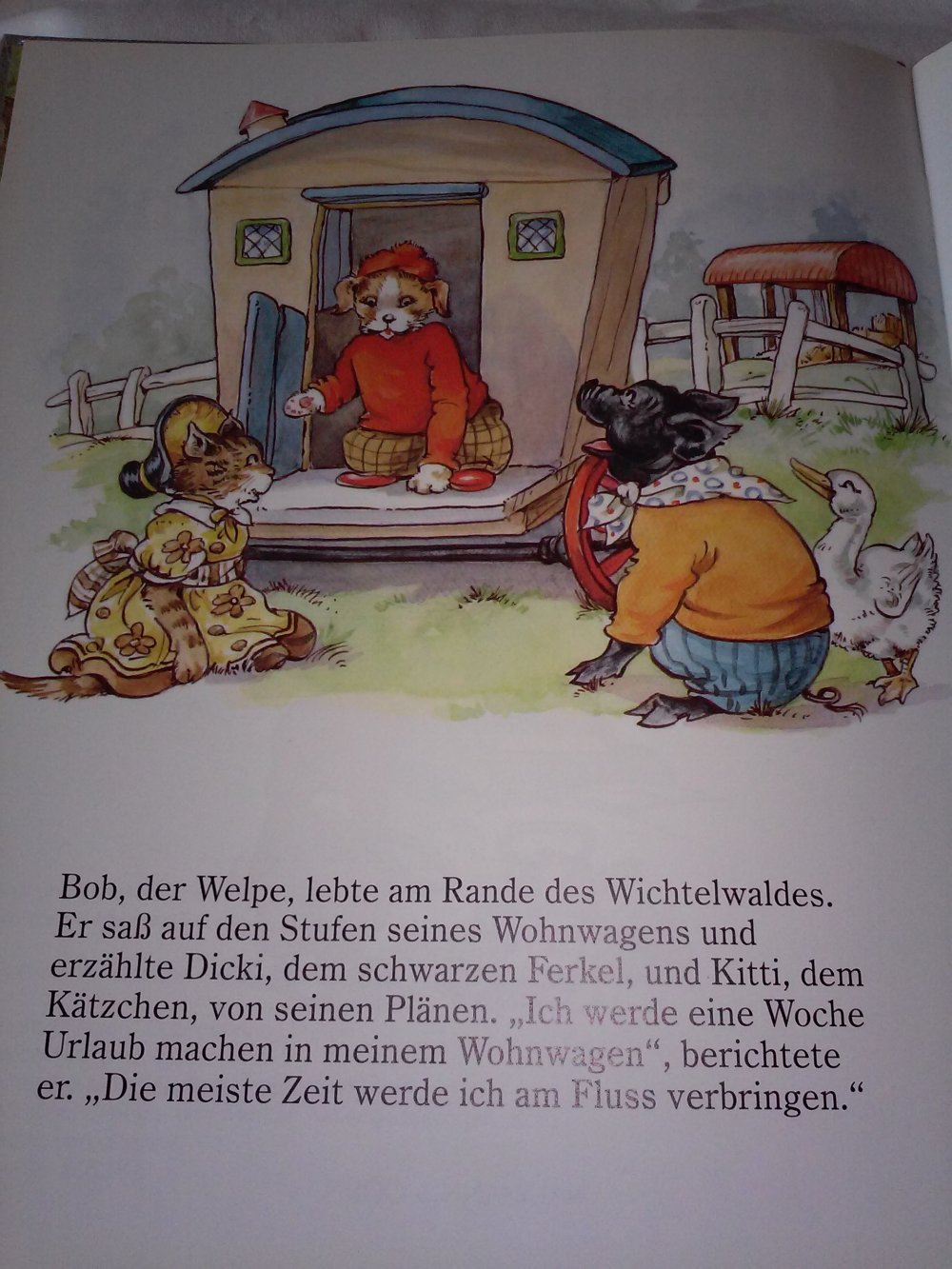 Rene Cloke: Wichtelwaldgeschichten - Die abenteuerliche Reise