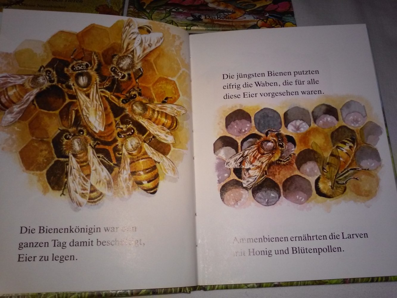 MEINE NATURBÜCHER: Der Zirkus im Gebüsch/Die Geschichte von ...