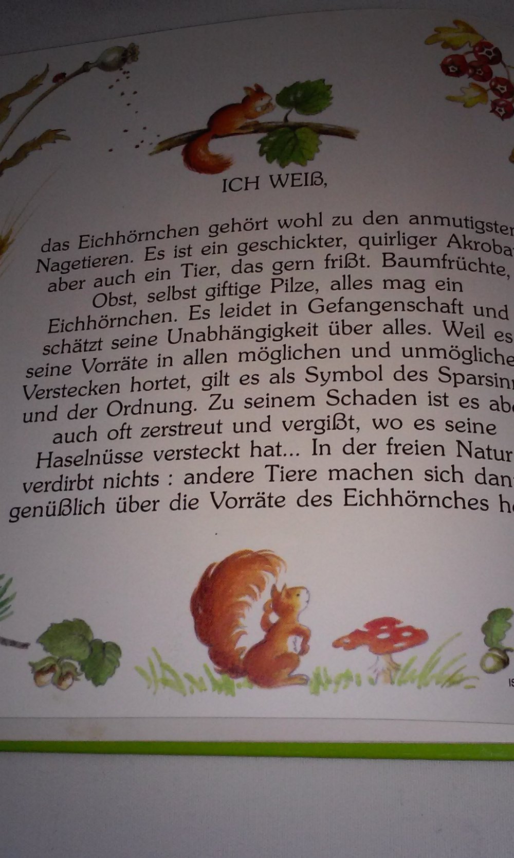 Auf Federballs Spuren -Gute Freunde- altes Kinderbuch Sammlerstück Rarität