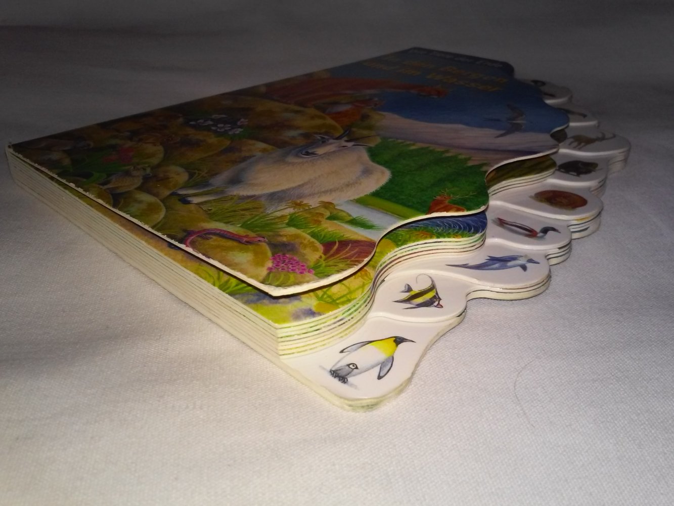 Bob Bampton/Bernhard Thornton: Die Tiere der Erde (Berge und Wasser)