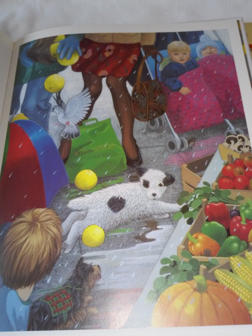 Bibo in Schwierigkeiten. / Komm zurück, Cäsar - Kinderbuch alt