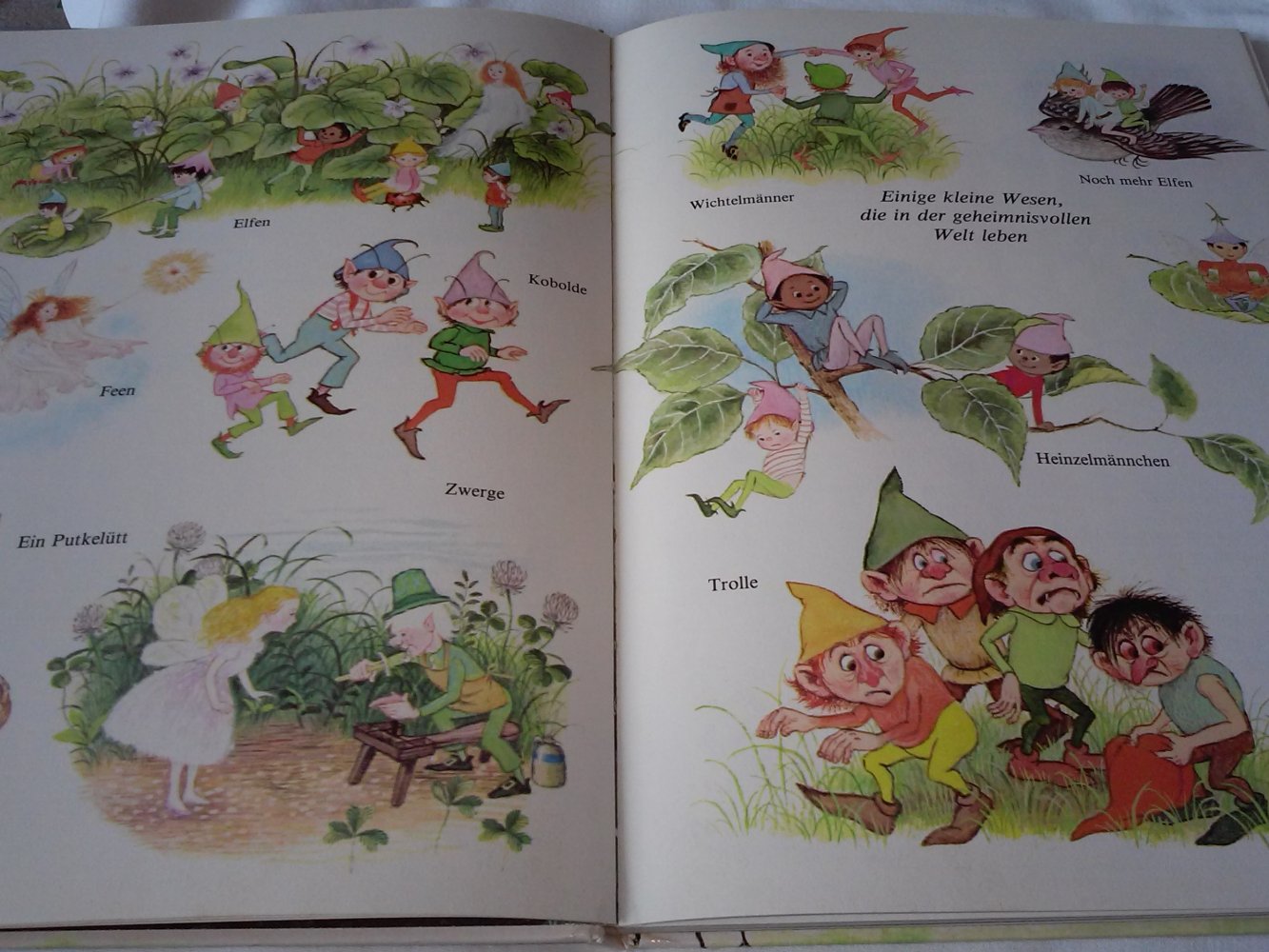 Komm mit ins Elfenland!