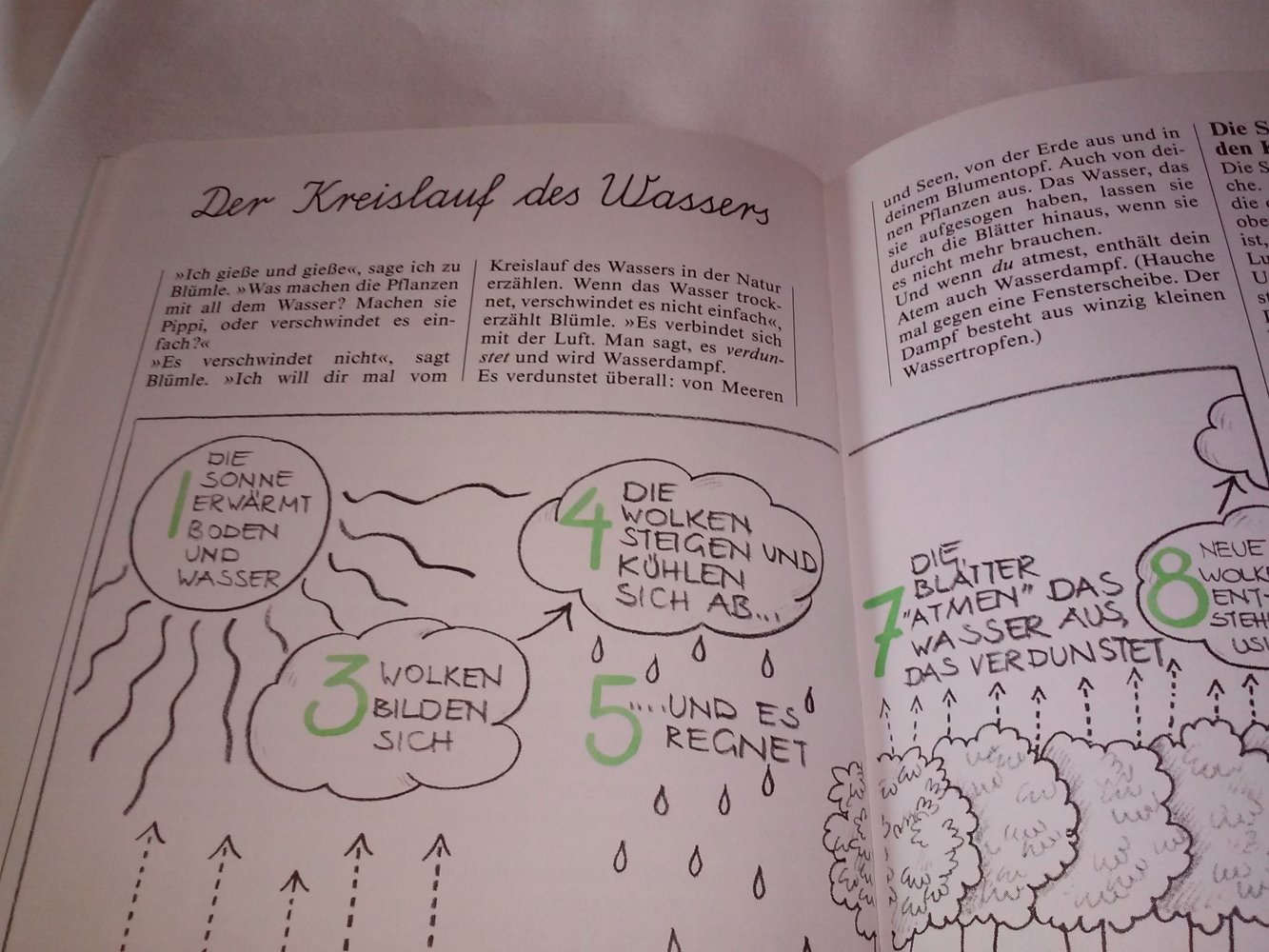 Christina BjörkChristina Björk: die schnellste Bohne der Stadt - Kinderbuch alt