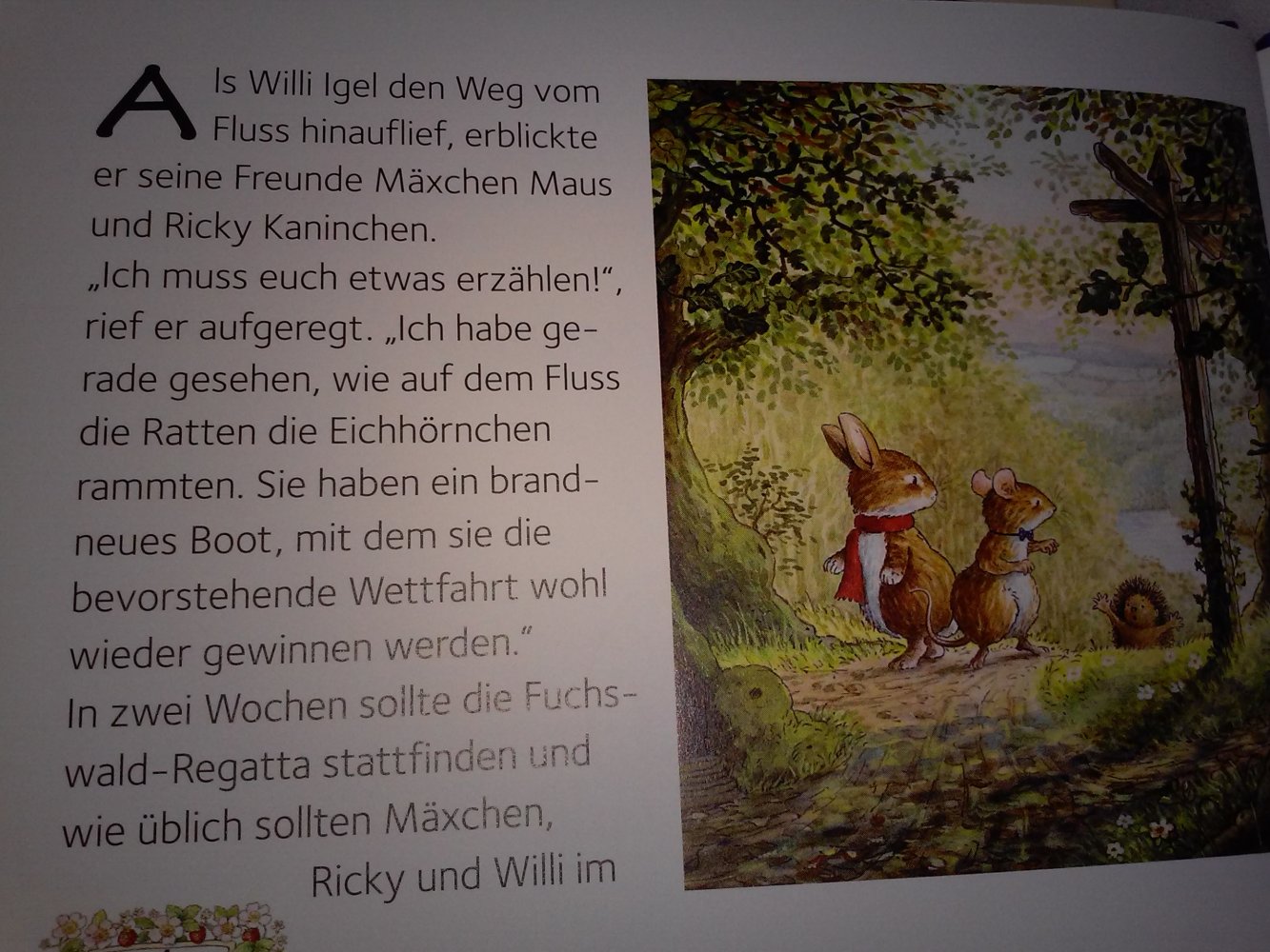 Geschichten aus dem Fuchswald Überraschung /Schmuggler /Schatzsuche /Bootsrennen /Raub im...