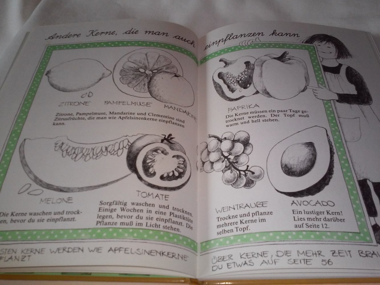 Christina BjörkChristina Björk: die schnellste Bohne der Stadt - Kinderbuch alt