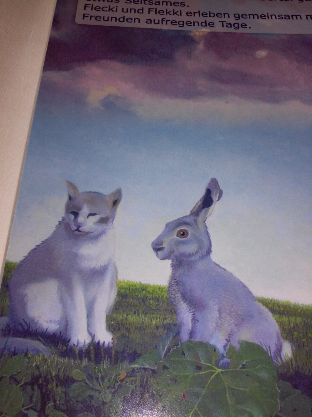 Neu! Die Abenteuer von Flecki & Flekki: Band 2 - Aufregung im Bibertal