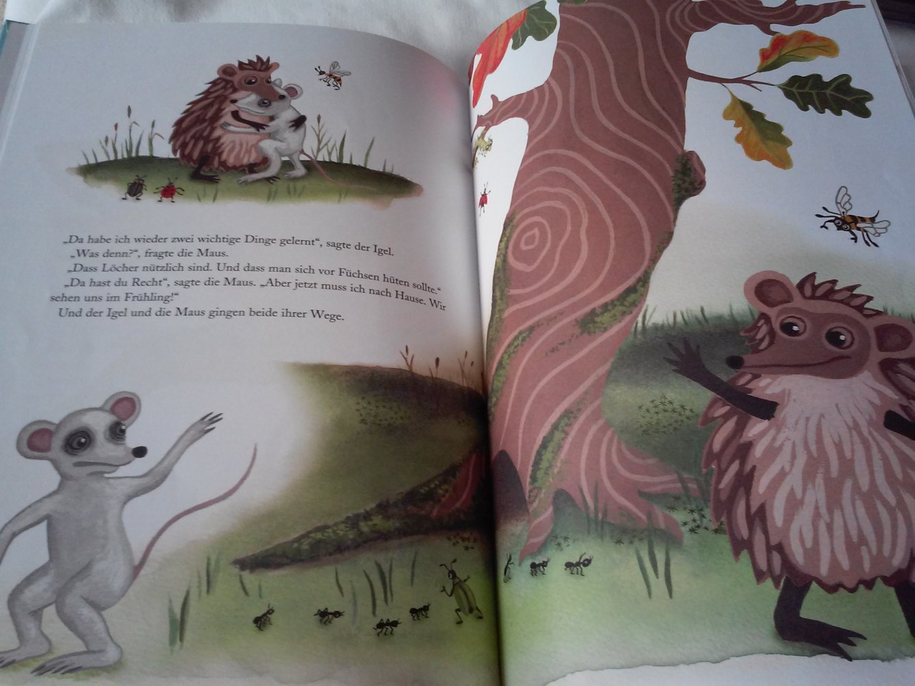 Ulf Stark. Der Igel kommt allein zurecht