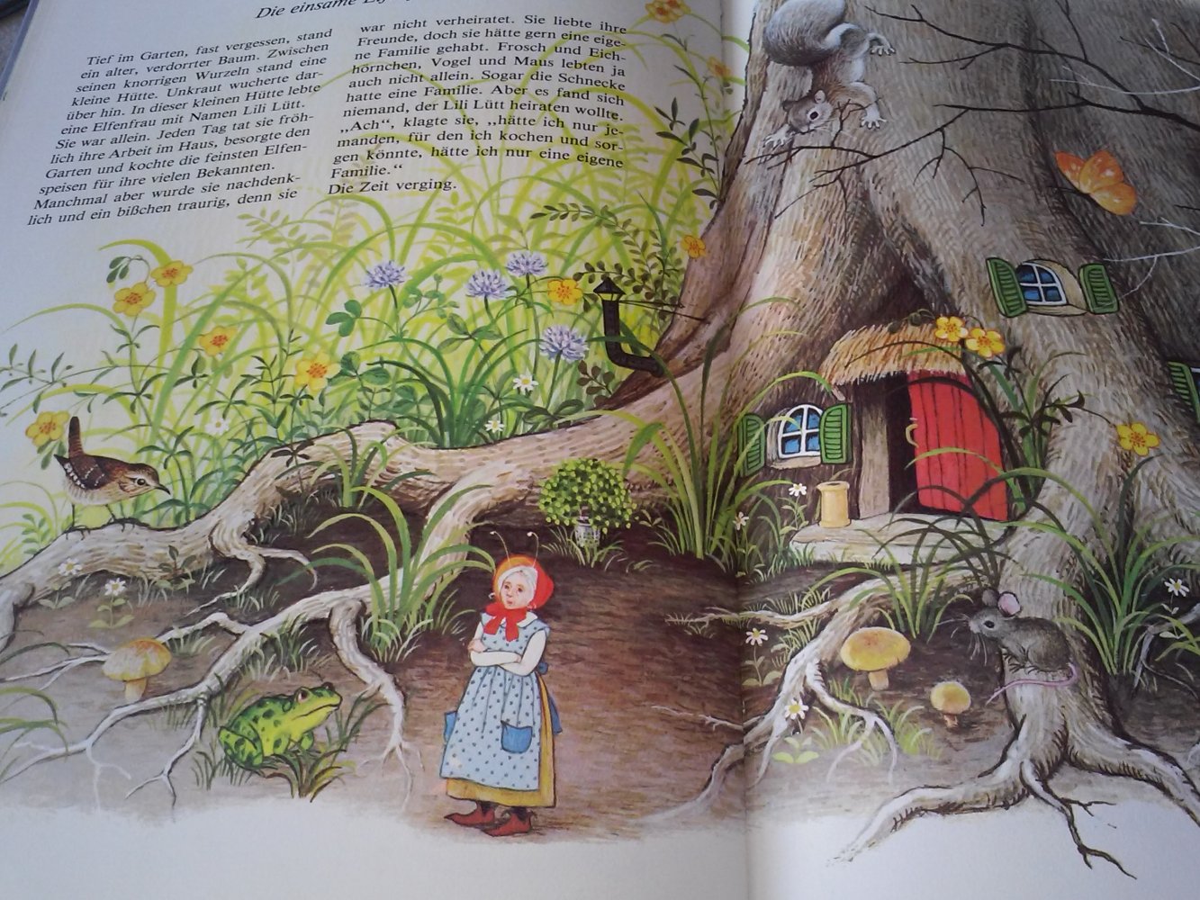 Komm mit ins Elfenland!