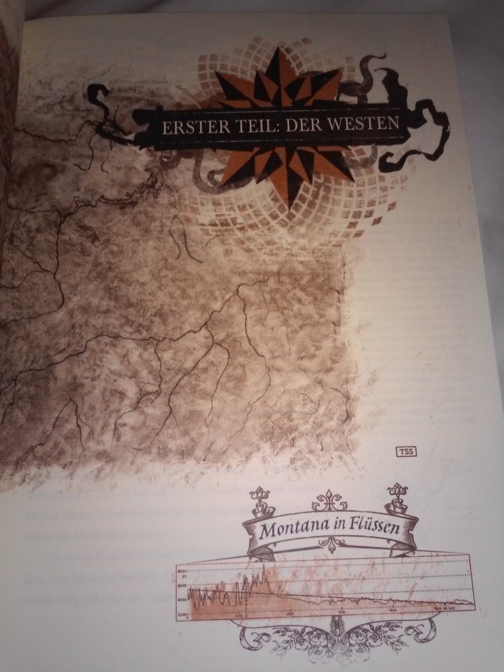 Reif Larsen: Die Karte meiner Träume - Geschenktipp -