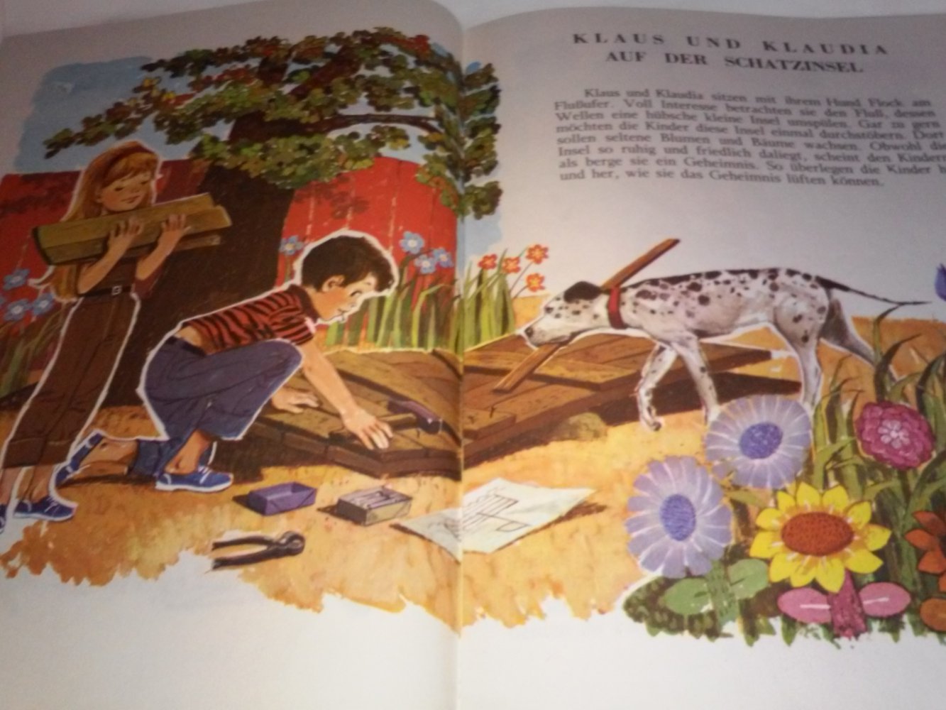 Klaus und Klaudia - Auf der Schatzinsel altes Kinderbuch