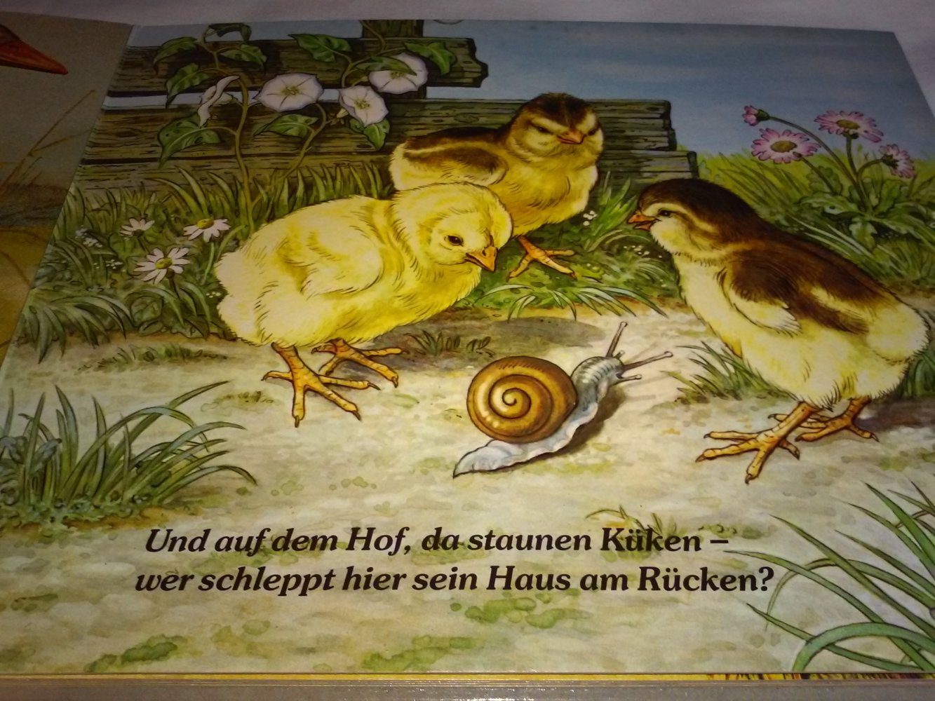Im Hof und auf der Weide altes Kinderbucch Tierbuch 1988