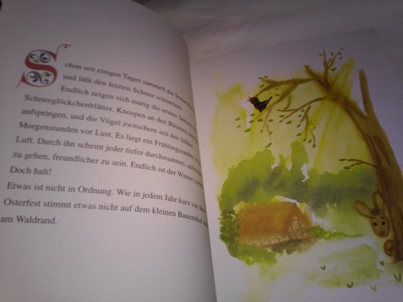 Osterhäschen Willibald: Kann man es nicht allen recht machen? 1.Auflage 