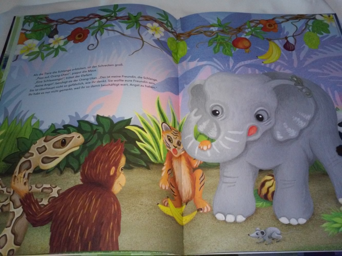 Neu! Sophie Holmqvist: Der Orang-Utan fürchtet sich