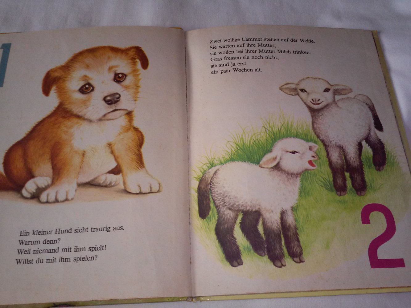Zähl mit! Ein DAXI-Buch Nr. 43  altes Kinderbuch