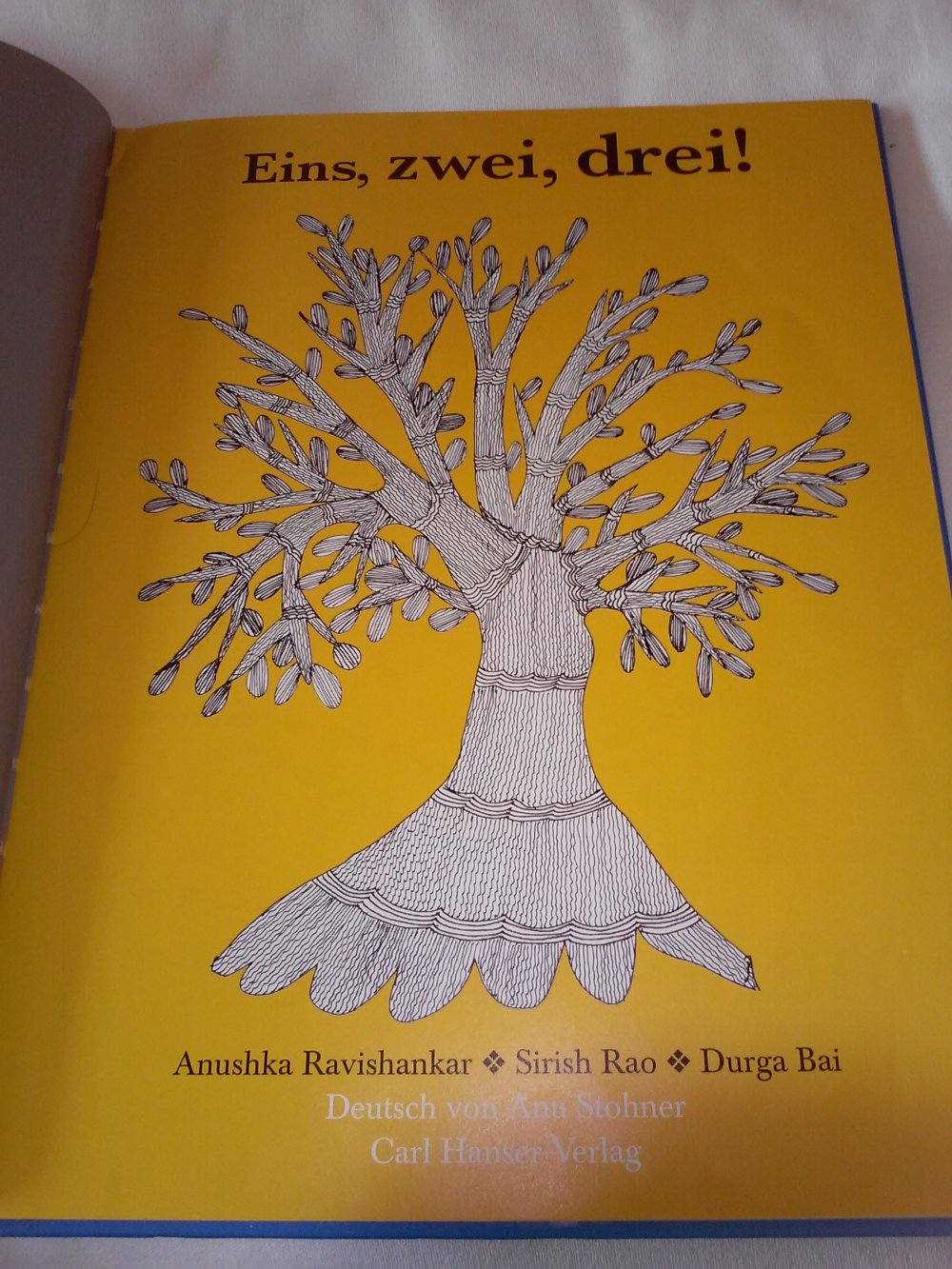 Anushka Ravishankar: Eins, zwei, drei!Zählen lernen leicht