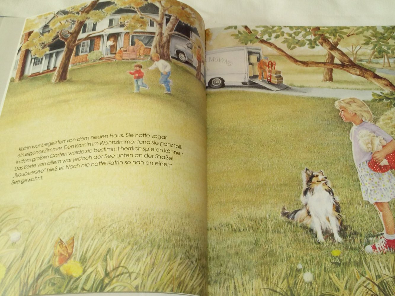  Josh und Dottie McDowell: Katrins Abenteuer am Blaubeersee -Kinderbuch alt