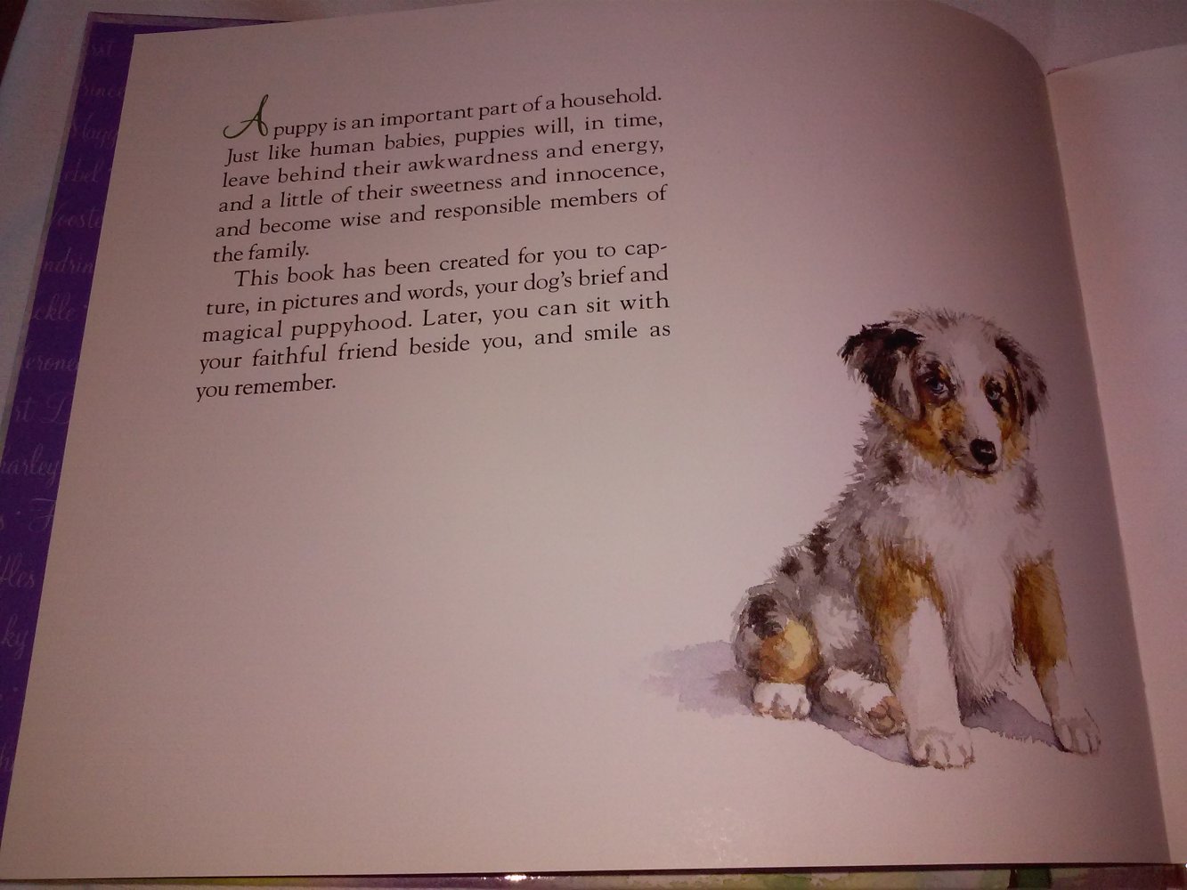 My Puppy's Record Book/Book and Good Dog Award (altes Kinderbuch wie neu)