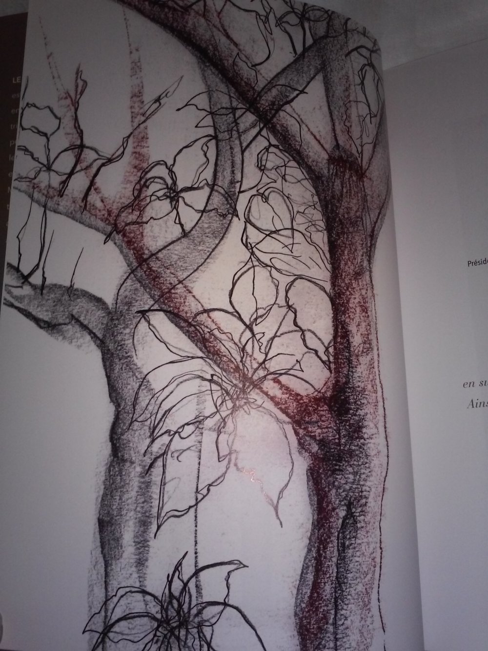 Trendige Kunst: IM Botanischen Garten von Montpellier (französisch)