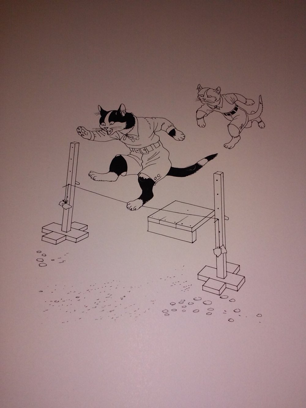 Die fröhliche Katzenschule /...Katzenfreizeit  altes Kinderbuch