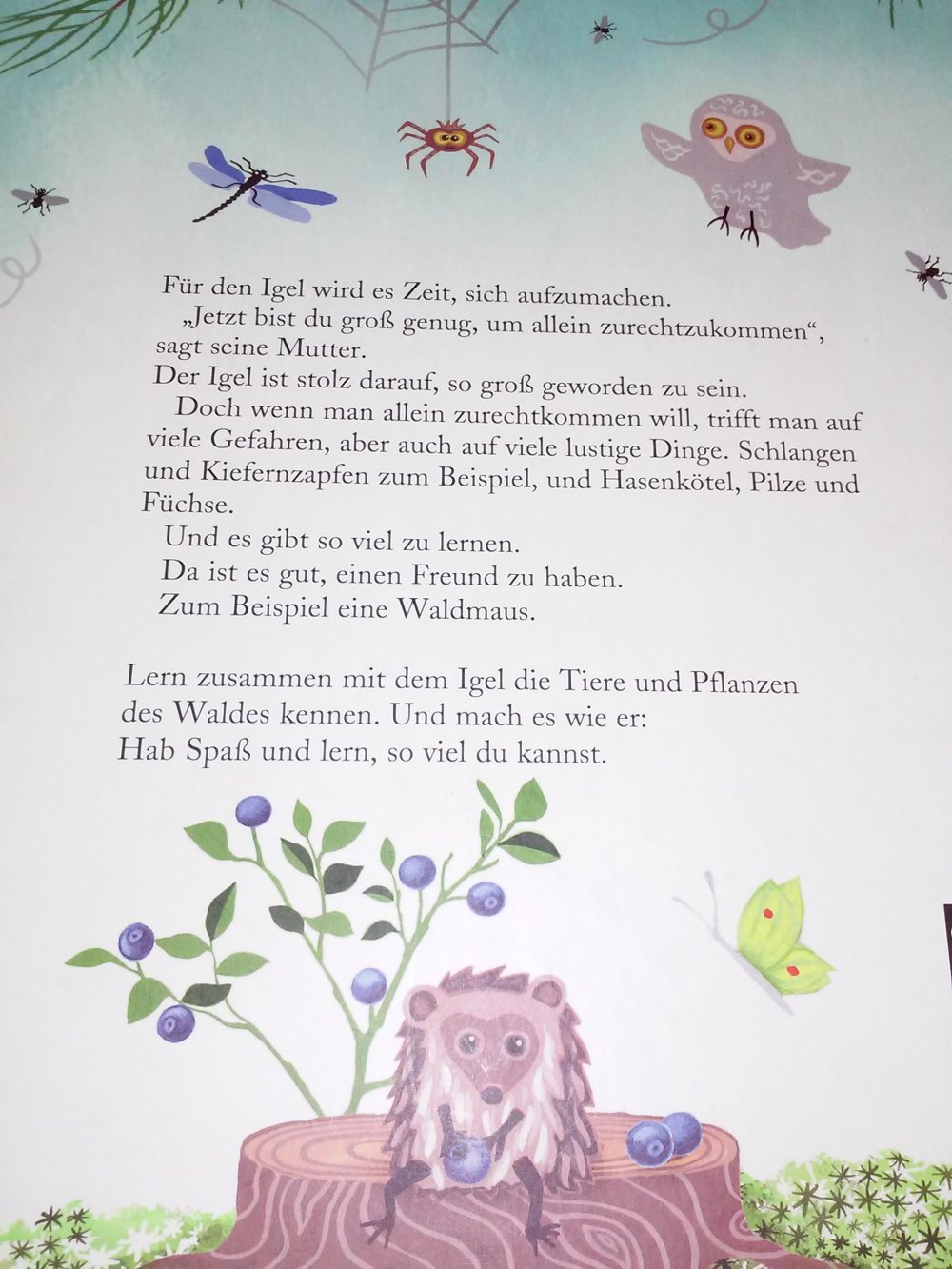 Ulf Stark. Der Igel kommt allein zurecht