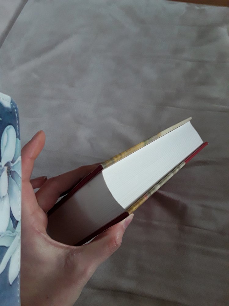 Land des Feuers, Land der Sehnsucht