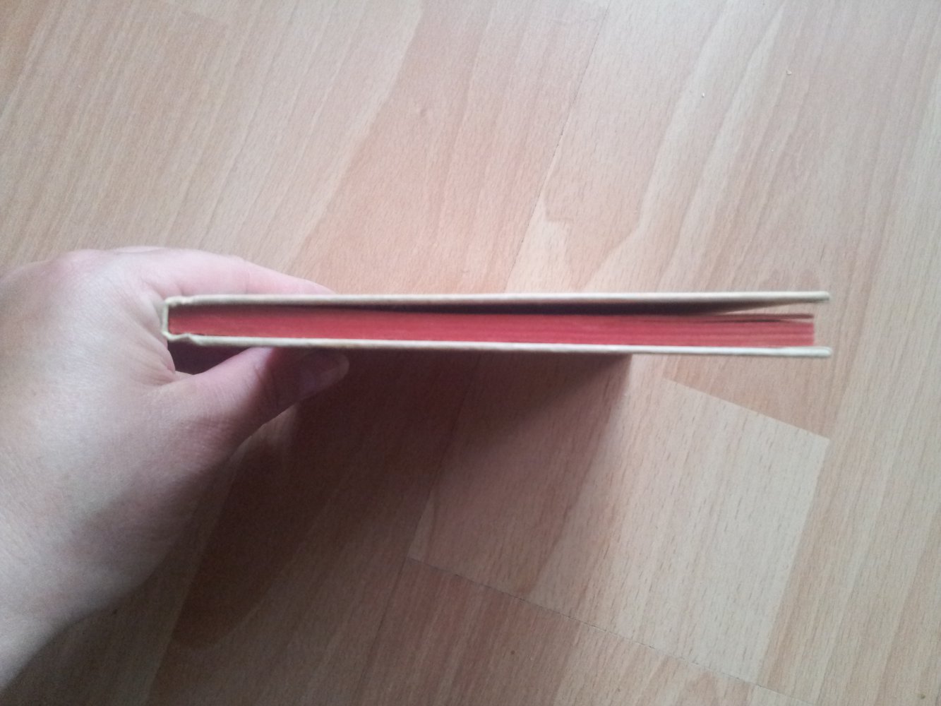 Sonne und Regen im Kinderland - Band 67 -Anita die Zirkusreiterin